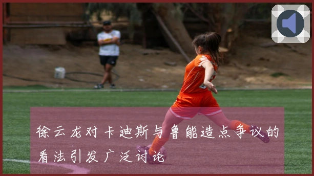 徐云龙对卡迪斯与鲁能造点争议的看法引发广泛讨论